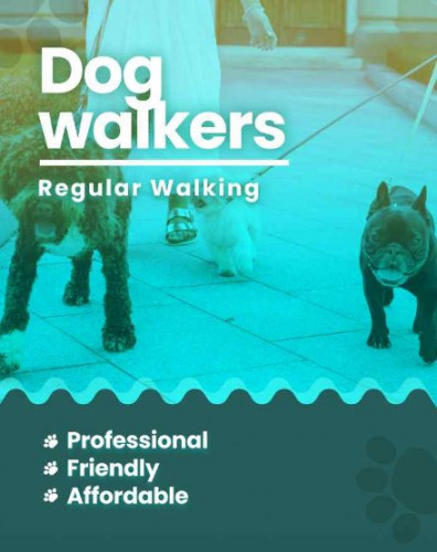 Dog walking services Mumbai